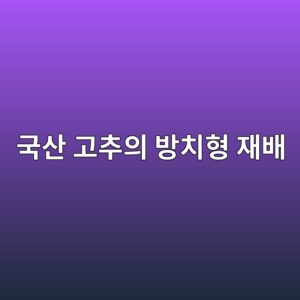 수입 건고추의 숨겨진 실태와 중국산 고추의 방치형 재배 환경 7 eab5adec82b0 eab3a0ecb694ec9d98 ebb0a9ecb998ed9895 ec9eacebb0b0 1788521349