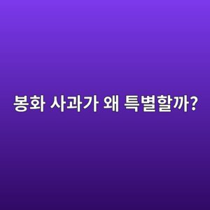 봉화 사과가 왜 특별할까? 해발 300~600고지 6 ebb489ed9994 ec82aceab3bceab080 ec999c ed8ab9ebb384ed95a0eab98c 1788520016