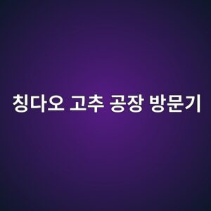 중국 칭다오 고추 공장 방문기: 대표이사 눈으로 본 한·중 농업 인프라의 결정적 차이 4 ecb9adeb8ba4ec98a4 eab3a0ecb694 eab3b5ec9ea5 ebb0a9ebacb8eab8b0 1788520181