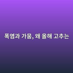 기록적인 폭염과 가뭄, 왜 올해 고추는 아이러니한 대풍을 맞이했을까? 3 ed8fadec97bceab3bc eab080ebad84 ec999c ec98aced95b4 eab3a0ecb694eb8a94 1788521222
