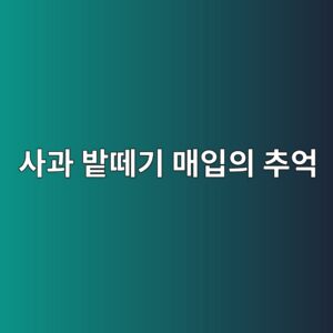 사과 밭떼기 매입의 추억, 2000평 과수원 계약부터 반전의 선별 작업까지 5 ec82aceab3bc ebb0adeb96bceab8b0 eba7a4ec9e85ec9d98 ecb694ec96b5 1789455436
