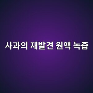 흠집 난 기스 사과의 재발견 원액 녹즙으로 재탄생 2 ec82aceab3bcec9d98 ec9eacebb09ceab2ac ec9b90ec95a1 eb85b9eca699 1788522204