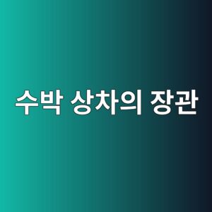 뙤약볕 아래 펼쳐지는 수박 상차의 장관과 인간 수박선별기의 비밀 4 ec8898ebb095 ec8381ecb0a8ec9d98 ec9ea5eab480 1789455370